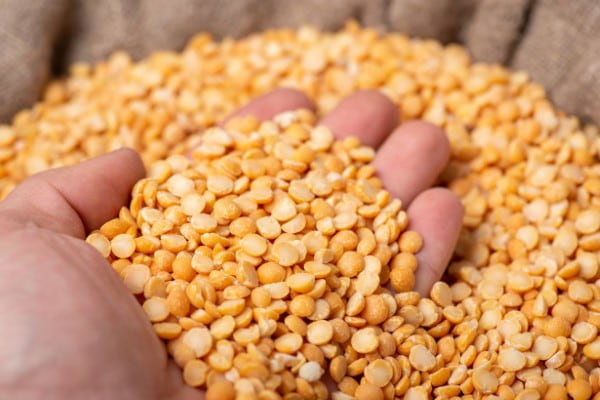 تصویر 3 از خرید و قیمت لپه تبریزی آرتمیس + فروش صادراتی